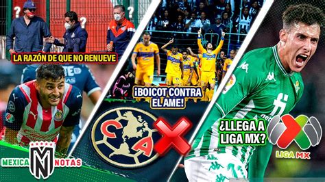 El Verdadero CULPABLE De Que NO RENUEVE Vega Tigres Planea BOICOT VS