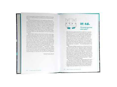 «От динозавра до компота» для Розового жирафа on Behance