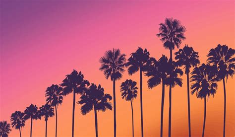 Palm Tree Sunset Time Wallpaper for Wall - Magic Decor