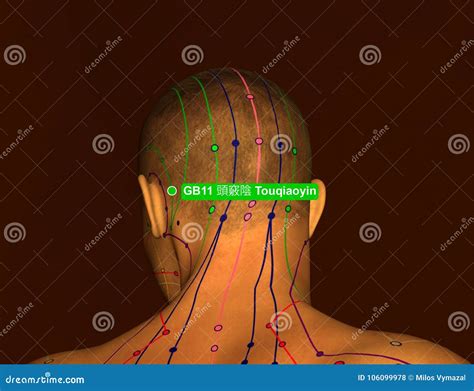 Acupuncture Point Gb11 Touqiaoyin 3d Illustration Brown Background