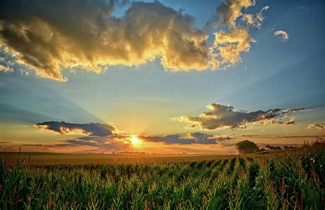 Iowa Summer Corn Fields Photograph By Bonfire Photography Pixels