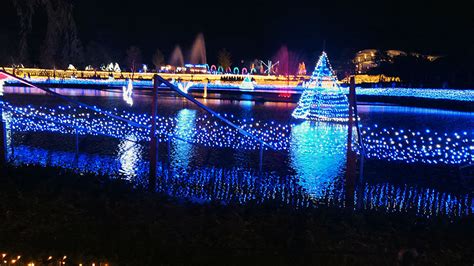 国営越後丘陵公園サマーナイトプレゼンツを見てきた！ 上越特産市場スタッフブログ