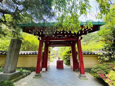 buzz trip kamakura