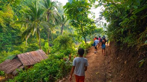 Jungle Trekking Chiang Mai All You Need To Know Before You Go