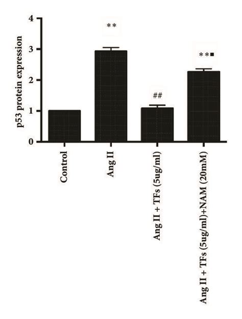 Effect Of Sirt On Huvecs Senescence Regulated By Tfs Panels A And