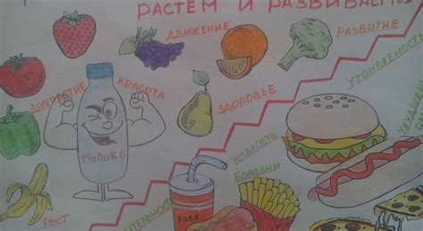 Плакат на тему продукты (50 фото)