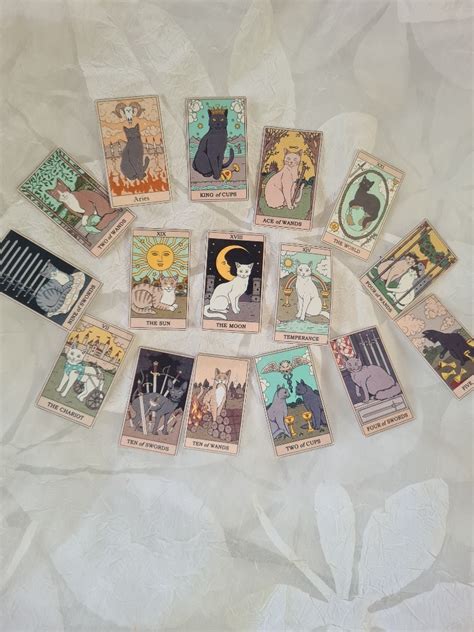 Naklejki Koty Karty Tarot Sztuk Magia Wr By Bolewice Kup Teraz