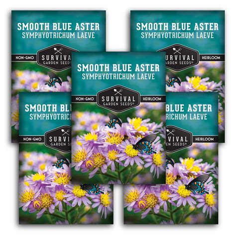 Survival Garden Seeds - Smooth Blue Aster Seeds for Planting