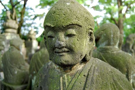 图片素材 纪念碑 绿色 植物学 雕塑 艺术 寺庙 雕刻 传统 川越 佛像 石雕像 想一想 Gautama佛 古代