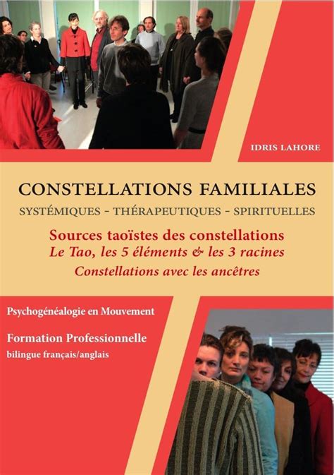 DVD Coffret Constellations Familiales et Systémiques Vol 1 les