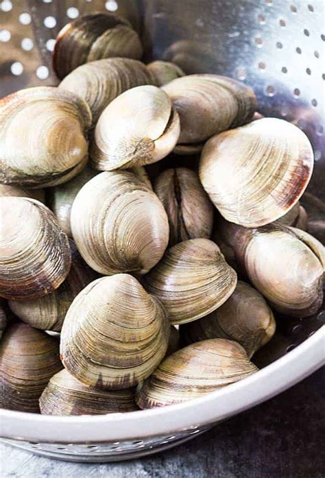 how to cook steamed clams