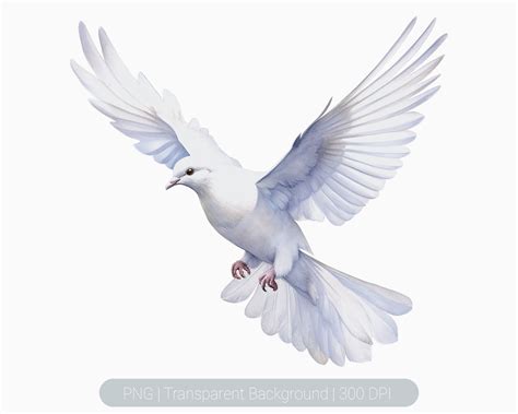 doves clip art 9