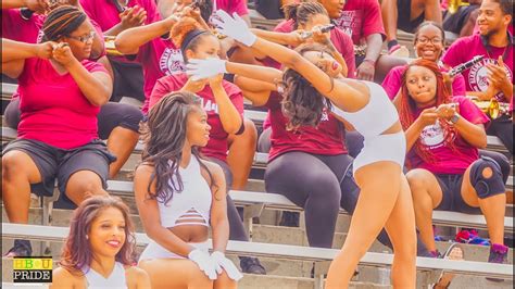 Exclusive Aamu 2017 Marching Maroon And White Ft Dancing Divas