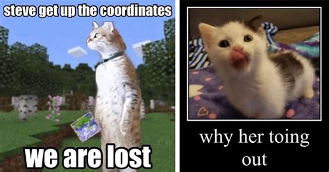 Clawsome Kooky Kitty Memes To Help You Put The Weird Back Into Friday ...