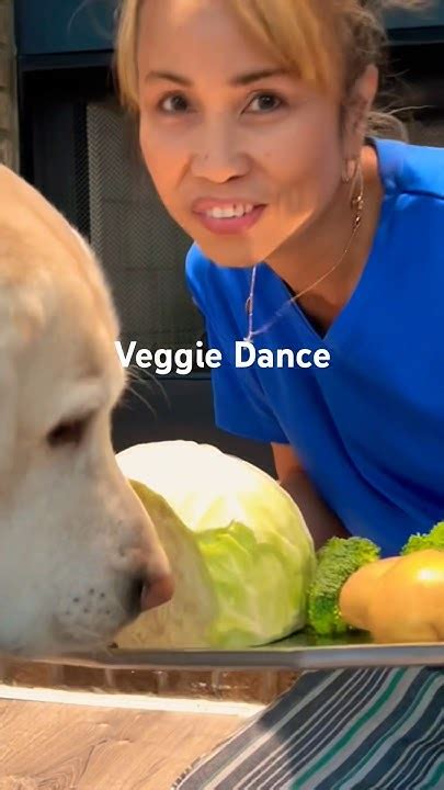 Now Lets Do The Veggie Dance Dog Doglover Labrador Shorts Veggie