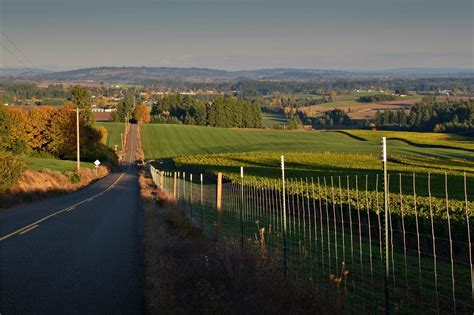 The Nicest Place In Oregon 2020 Hillsboro