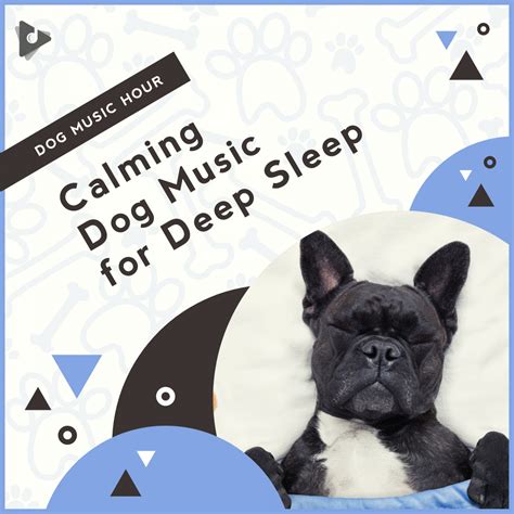 Calming Dog Music for Deep Sleep Album | Lullify