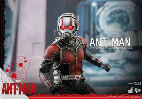 Hot Toys ANT MAN Collectible Action Figure GeekTyrant