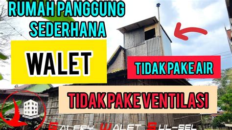 Gedung Walet Sederhana Dari Kayu Yang Disukai Burung Walet YouTube