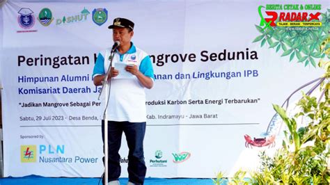 Cegah Abrasi Pln Nusantara Power Telah Tanam 100 Ribu Mangrove Di Pantai Tegal Agung Radar X