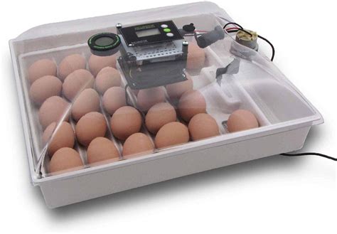 Best Egg Incubators 2022 Top Professional Egg Incubator For The Money