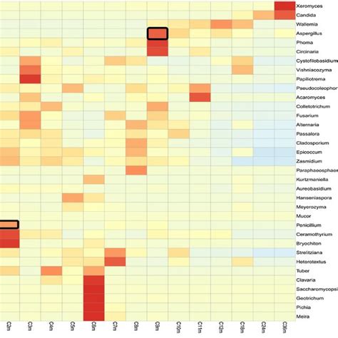 Heatmap Depicting Relative Species Abundance Plotted By Sample Name On Download Scientific