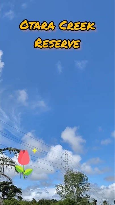 secret spots  auckland otara creek reserve  perfect picnic spot