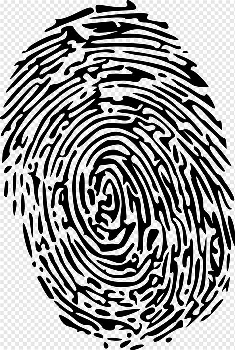 Finger Print Fingerprint Computer File Fingerprint Free Spiral