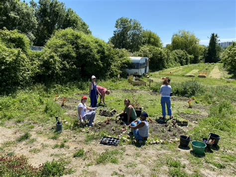 Wecandoo Visitez une ferme florale et découvrez la permaculture