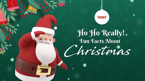 Fun Facts About Christmas - Boh Tea USA