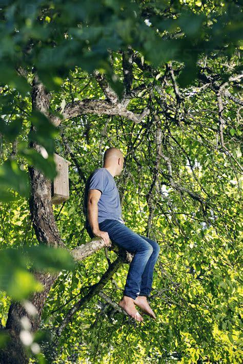 Man Sitting On Tree Branch Stock Photo