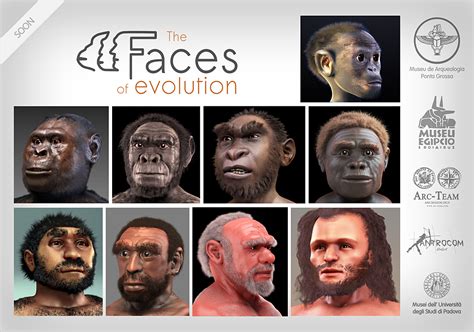 The Faces Of Evolution Exhibition Of Hominids Forensic Facial