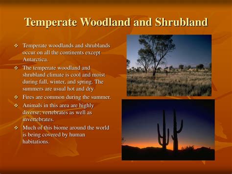 PPT - Terrestrial Biomes II PowerPoint Presentation - ID:370539