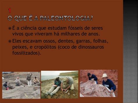 Paleontologia O Que É - O Que É Paleontologia? | Paleontologia: O que é isso? – TUGY