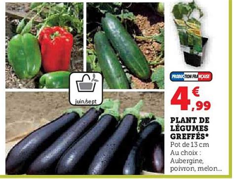 Promo Plant De L Gumes Greff S Chez Hyper U Icatalogue Fr