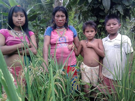 Escuela De Agricultura EcolÓgica Con Énfasis En Asociatividad Campesinos Presentan Ventajas De