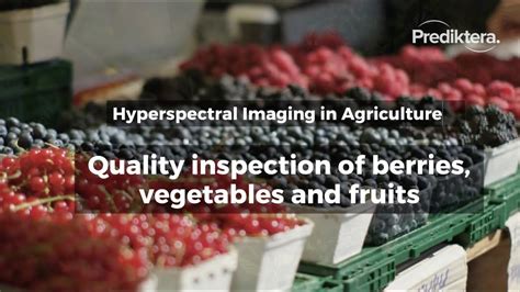 Agriculture Application Quality Inspection Of Berries Vegetables And