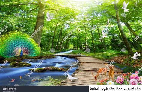 عکس طبیعت سه بعدی ️ [ بهترین تصاویر ]