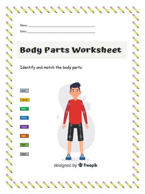 Body Parts-Worksheet | PDF