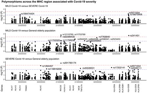 Frontiers MUC22 HLA A And HLA DOB Variants And COVID 19 In