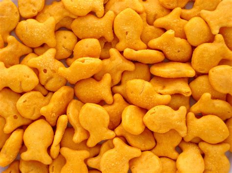 Review New Pepperidge Farm Mega Cheese Goldfish Puffs So Good Blog