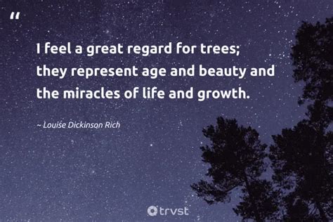 43 Tree Planting Quotes to Inspire You to Grow a Forest