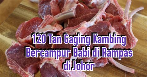 120 Tan Daging Kambing Bercampur Babi Di Rampas Di Johor Makmal Informasi