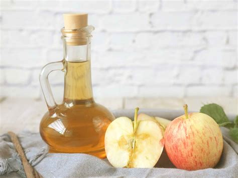 What Does Apple Cider Vinegar Do To Fleas 5