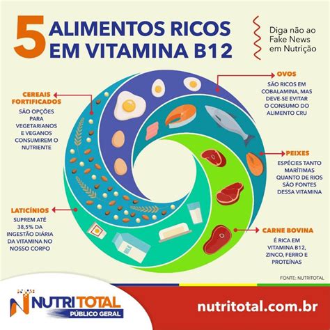 Qual A Funcao Da Vitamina B12