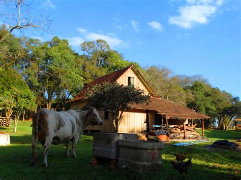 Rota Das Col Nias Turismo S O Jos Dos Pinhais Pr S O Jos Dos