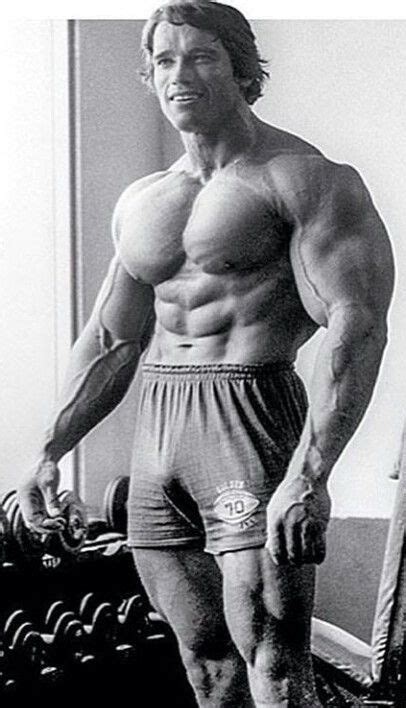 Pin By Jeff Sawyer On BEAST MODE Schwarzenegger Bodybuilding Arnold