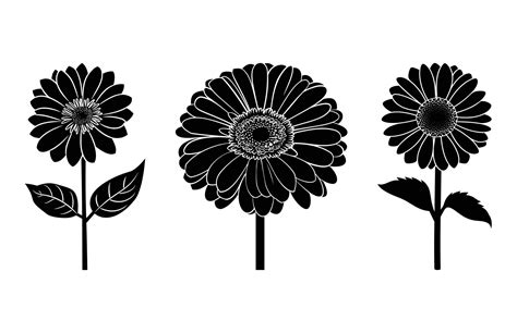 Gerbera Daisy Clipart Silhouette Set 49051512 Vector Art At Vecteezy