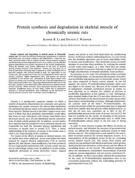 (PDF) Protein synthesis and degradation in skeletal muscle of ... 