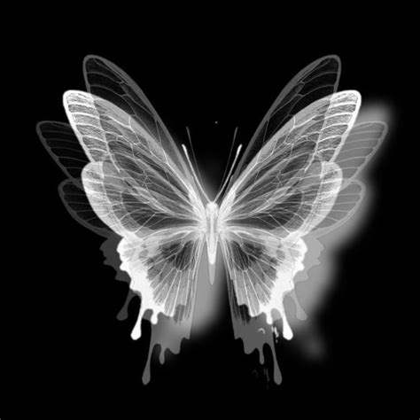 Picture Icon Black And White Aesthetic Butterfly Black And White